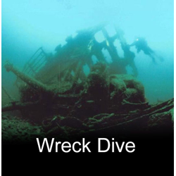 Wreck/excursion Dublin Boat Dive